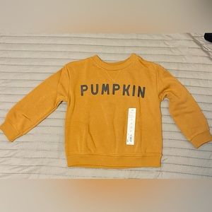 Little Co Pumpkin sweatshirt
